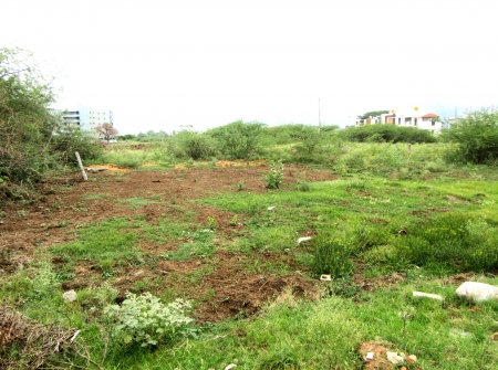 3) Li Id 206 - Pic 4.JPG